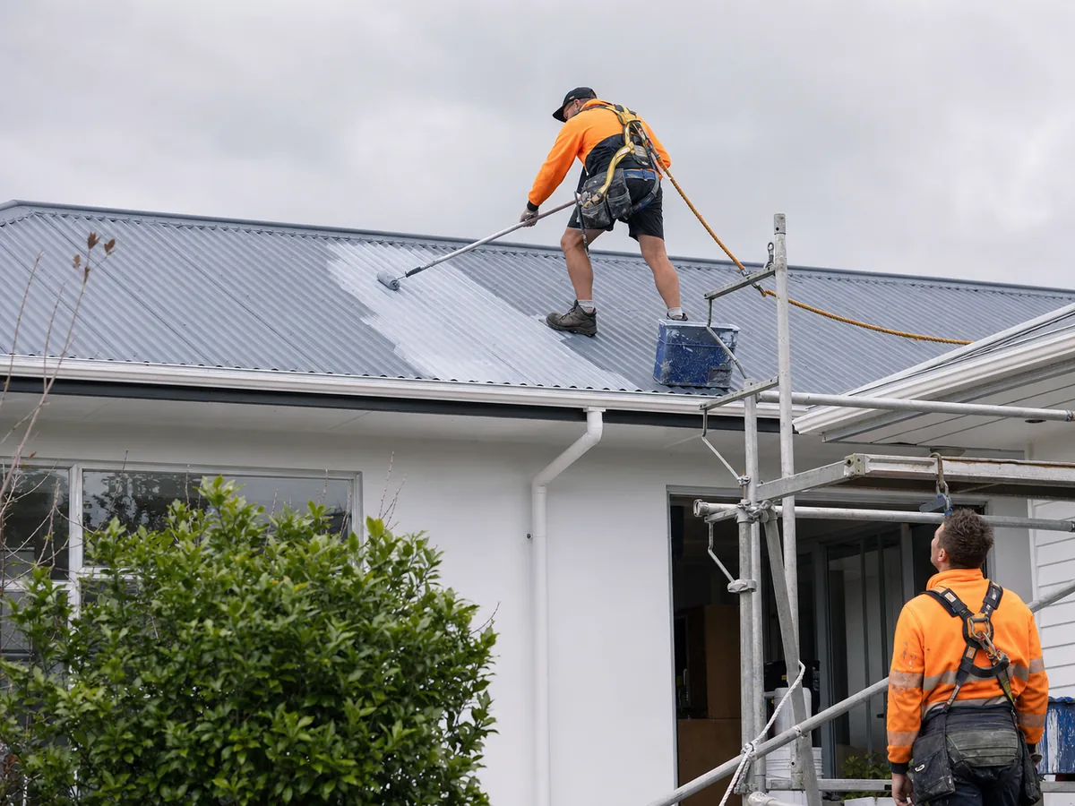 Professional Auckland roof coating with edge protection and safe access