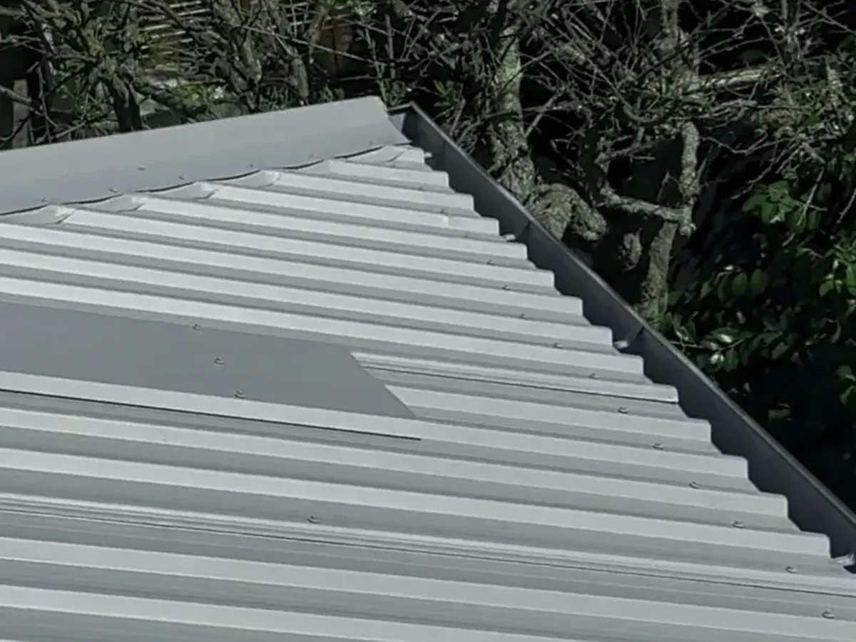How Often Should You Repaint Your House in Auckland?