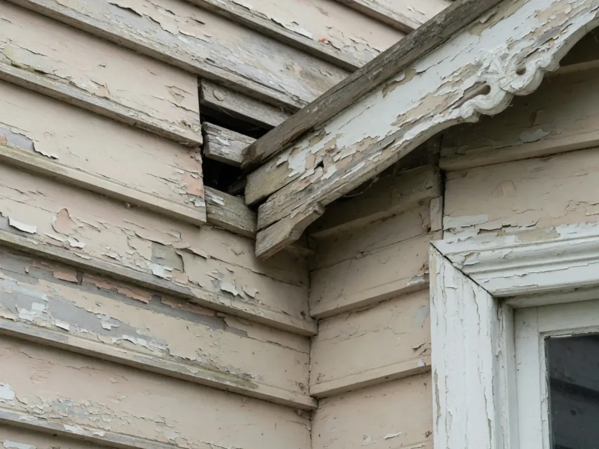 Weatherboards and older detail, Tomar Contracting Auckland