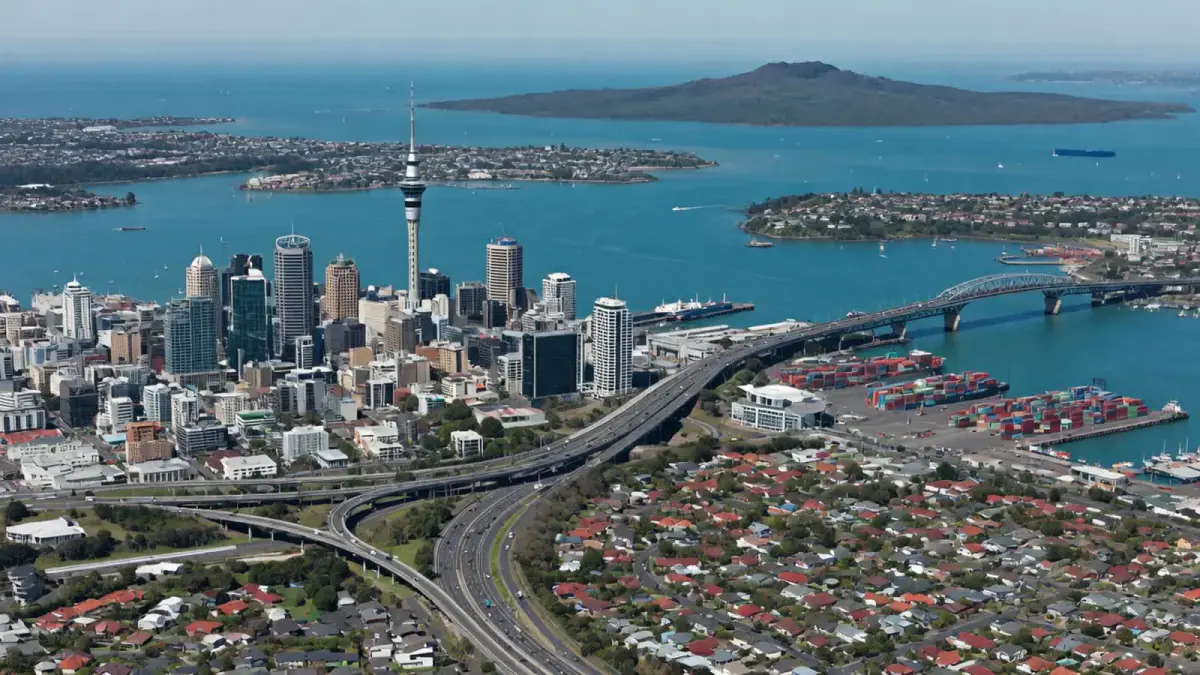 Painters covering greater Auckland