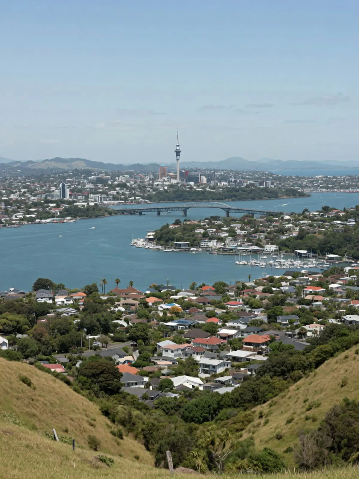 Painters Serving Greater Auckland, Tomar Contracting Auckland