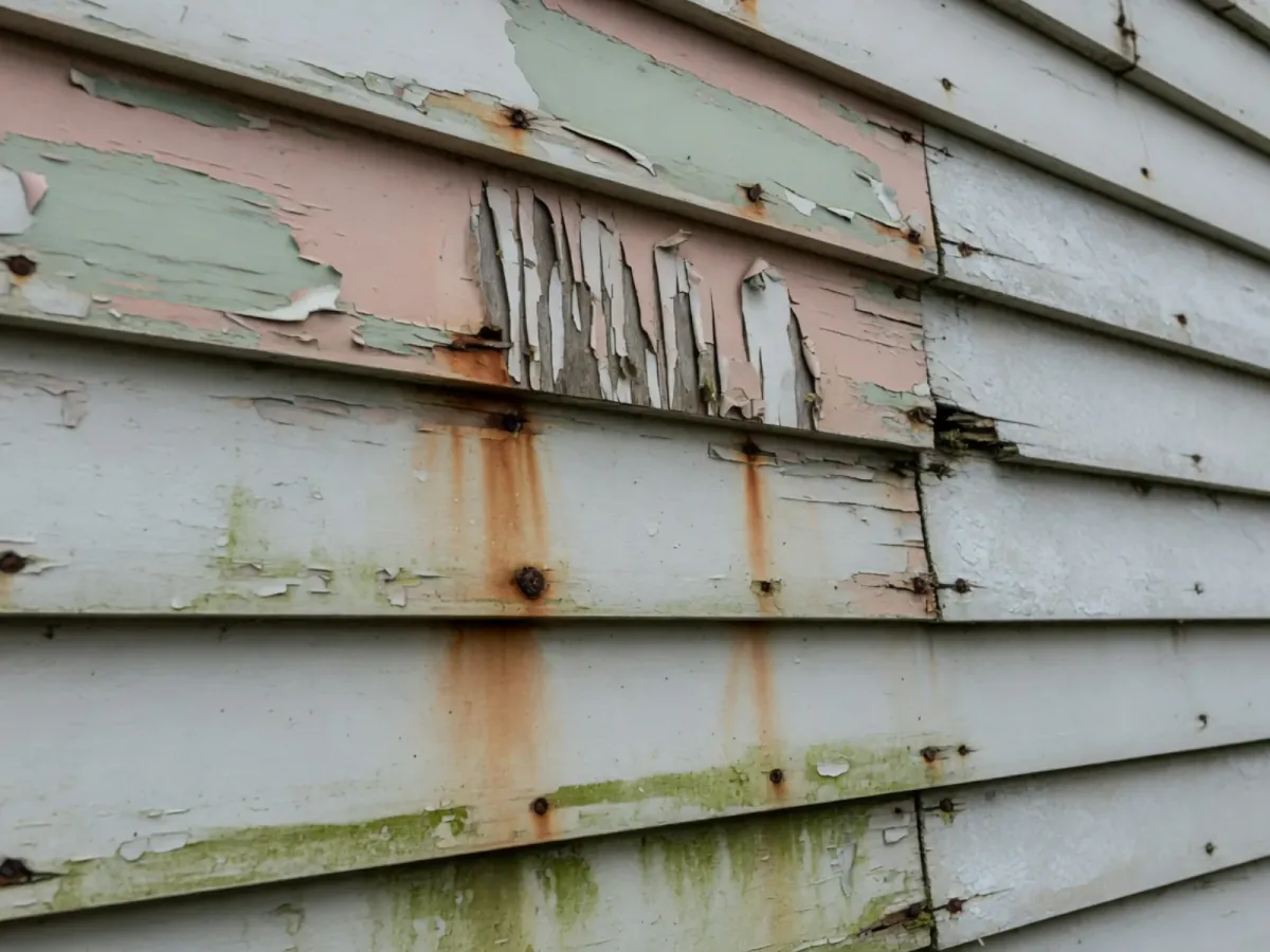 Common problems we fix before coating, Tomar Contracting Auckland